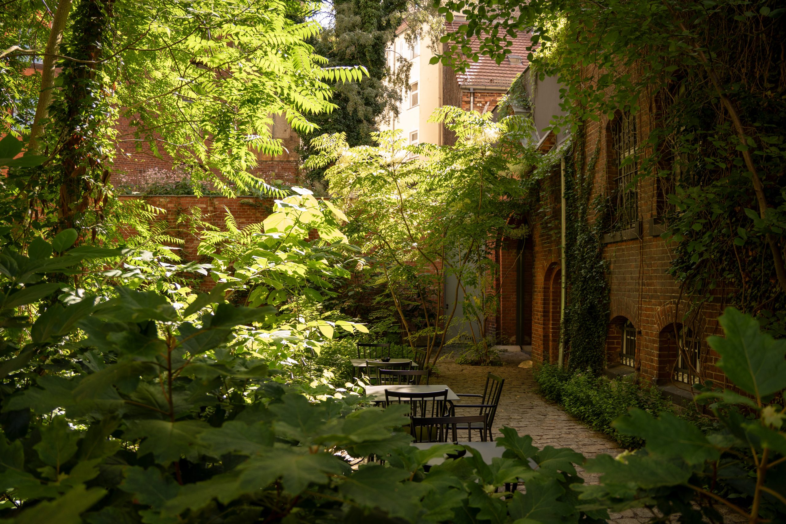 Wilmina — courtyard garden